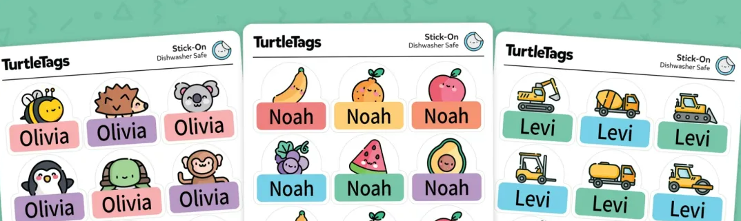 这个不起眼的独立站,如何靠贴纸月入8万美金?