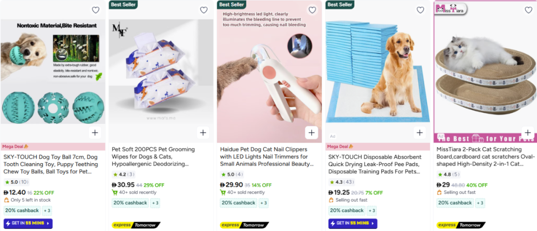 70万粉丝的启示：中东宠物经济爆发下的品类机会