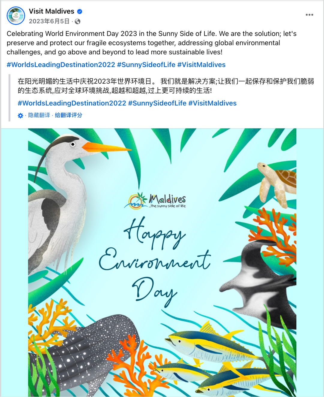 6月海外营销日历：世界环境日，古尔邦节，父亲节，世界海洋日，社交媒体日...