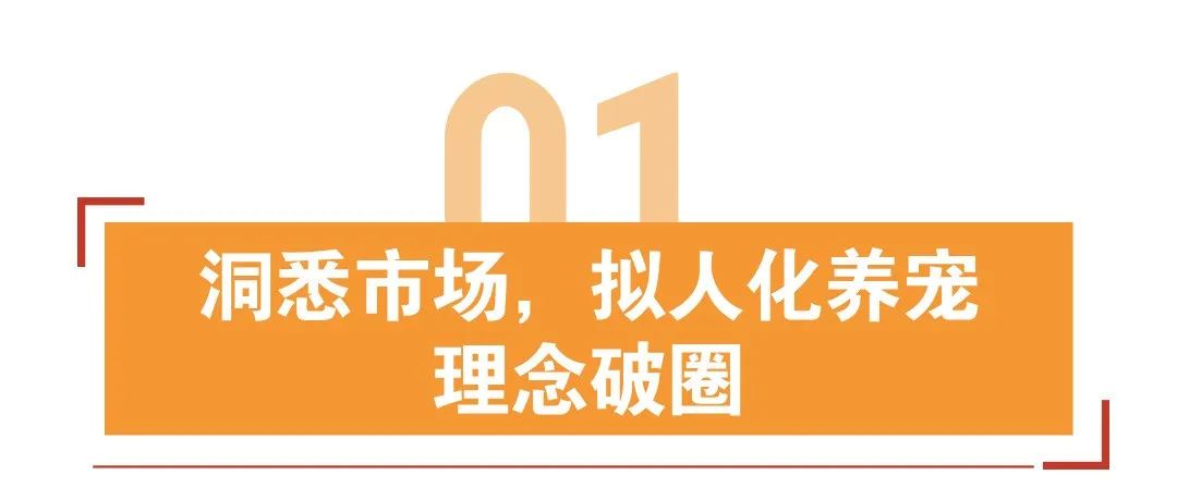 2年狂卖3000万美金，新锐宠物品牌如何靠低成本海外爆单？