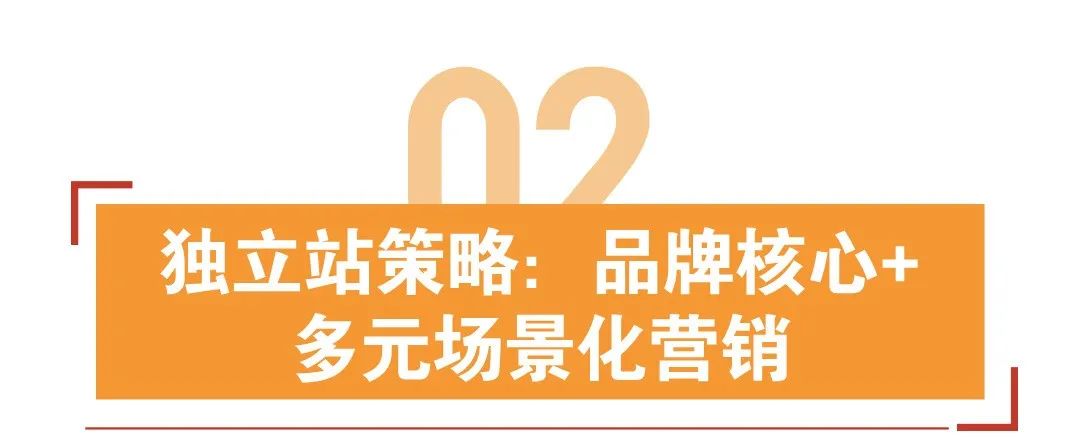 2年狂卖3000万美金，新锐宠物品牌如何靠低成本海外爆单？
