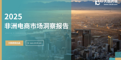2025非洲电商市场洞察报告