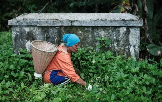 印尼社会动荡背后的贫富鸿沟：最富10%掌握35%收入，基尼系数达0.37