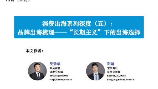 品牌出海梳理——“长期主义”下的出海选择