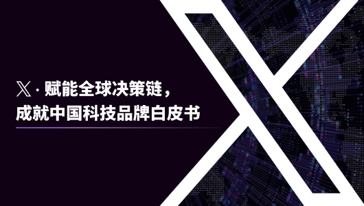 X · 赋能全球决策链，成就中国科技品牌白皮书