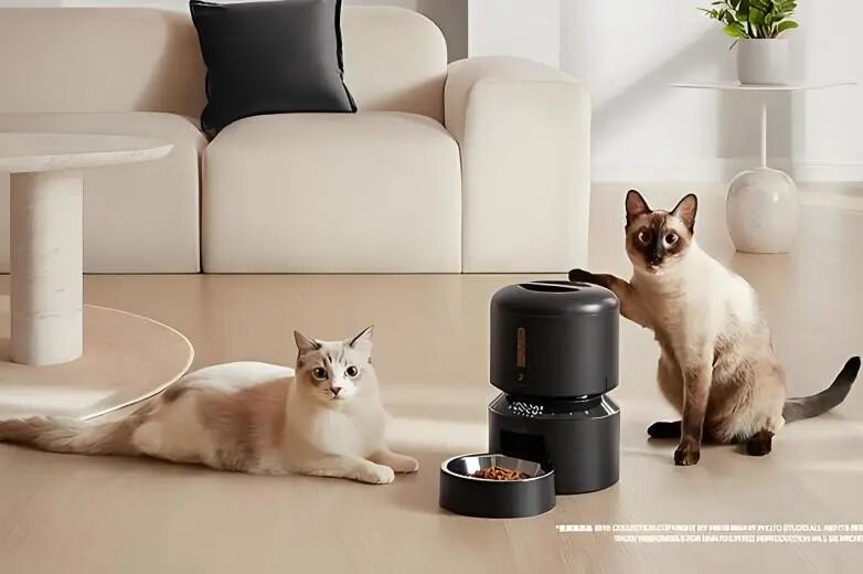 图片 深圳宠物智能,年销超5000万美金