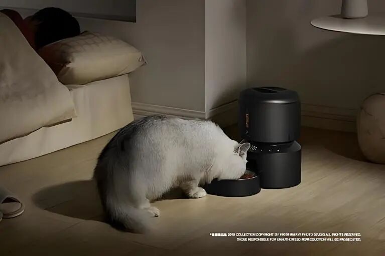 图片 深圳宠物智能,年销超5000万美金