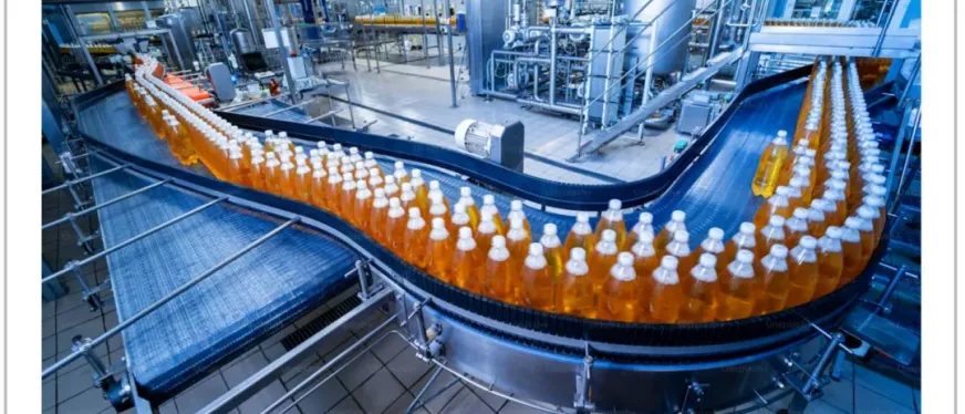 押注中国供应链，Temu找到最大增长机遇