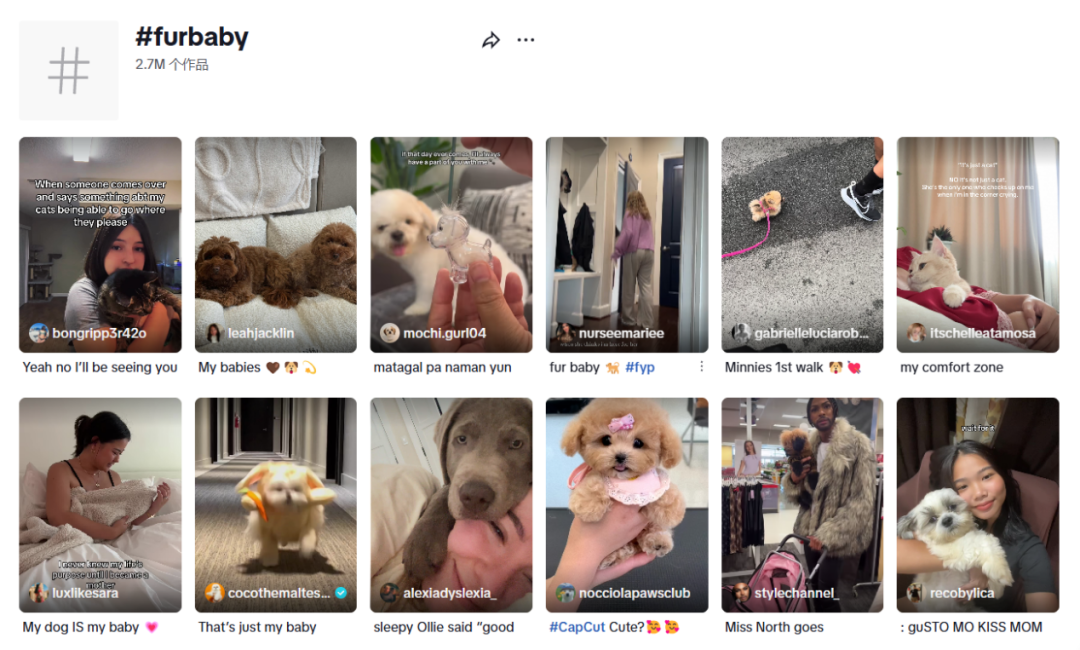 图片 1800亿,这一赛道火了