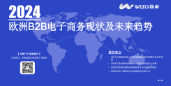2024欧洲B2B电子商务现状及未来趋势