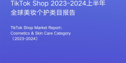 2023-2024上半年全球美妆个护类目报告