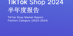 TikTok Shop 2024半年度报告