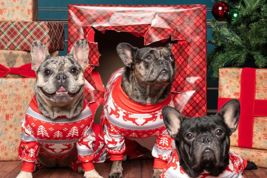 473亿宠物服饰市场，如何靠“亲子装”做出高溢价？