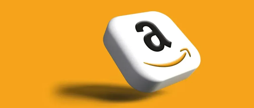 亚马逊十年谋一链