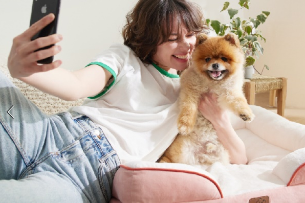 图片 骨科宠物床年销5600万美元 中国品牌EHEYCIGA领跑亚马逊品类