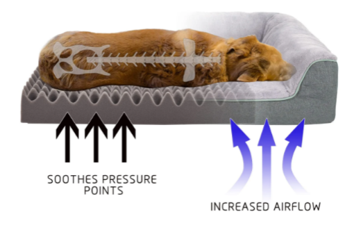 图片 骨科宠物床年销5600万美元 中国品牌EHEYCIGA领跑亚马逊品类
