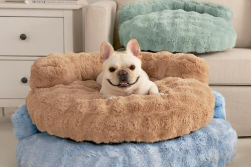 图片 骨科宠物床年销5600万美元 中国品牌EHEYCIGA领跑亚马逊品类