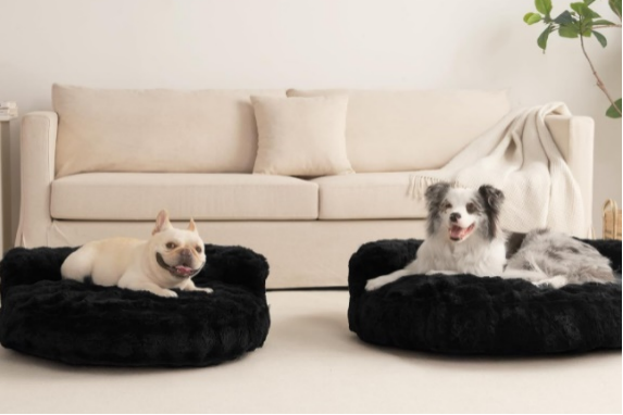 图片 骨科宠物床年销5600万美元 中国品牌EHEYCIGA领跑亚马逊品类