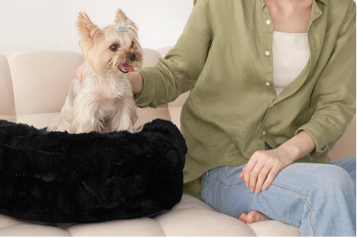 图片 骨科宠物床年销5600万美元 中国品牌EHEYCIGA领跑亚马逊品类