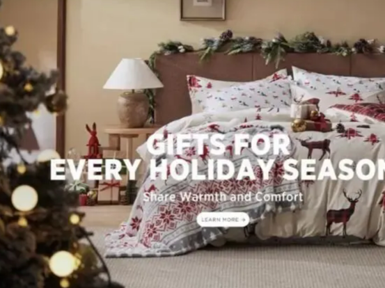 Bedsure黑五狂赚数百万美元！家居品牌TikTok爆单3招，2025攻略直接抄