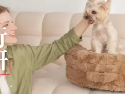 骨科宠物床年销5600万美元 中国品牌EHEYCIGA领跑亚马逊品类