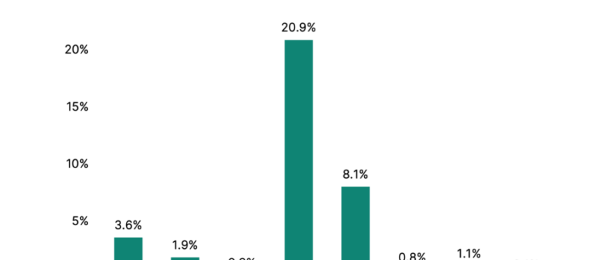 2024年美国假日中期消费趋势报告