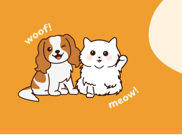 总销售额超5000万!中国品牌另辟蹊径,征服菲律宾宠物主