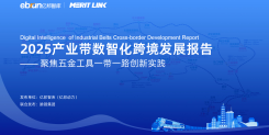 2025产业带数智化跨境发展报告