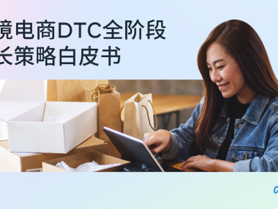 跨境电商DTC全阶段增长策略白皮书