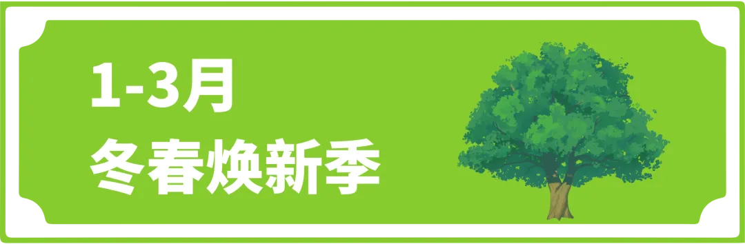 Coupang 2026全年营销日历：含每月核心活动&热销品类清单