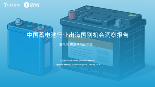 中国蓄电池行业出海国别机会洞察报告