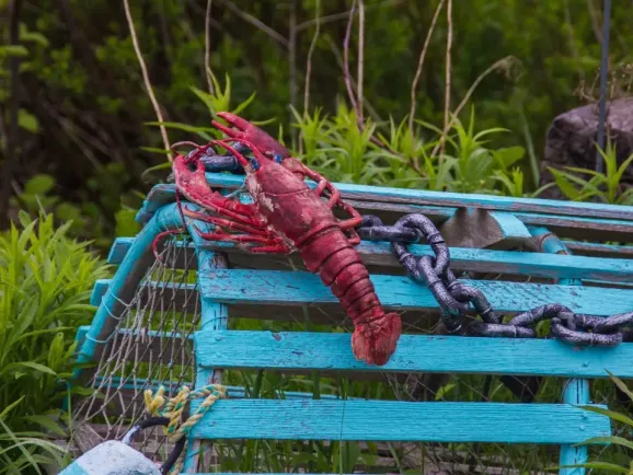 “小龙虾”救不了跨境人