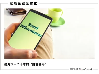 AI宠物狗卖爆美国、扫地机全球前四占三——中国品牌如何用技术重塑出海逻辑