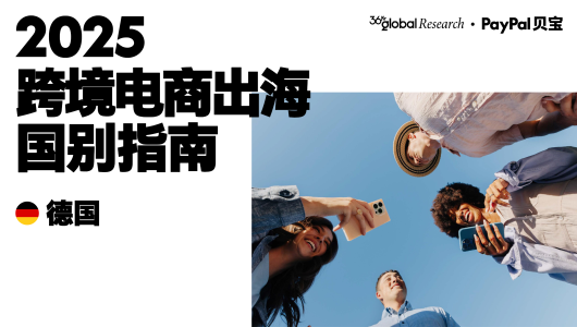 2025跨境电商出海国别指南（德国）