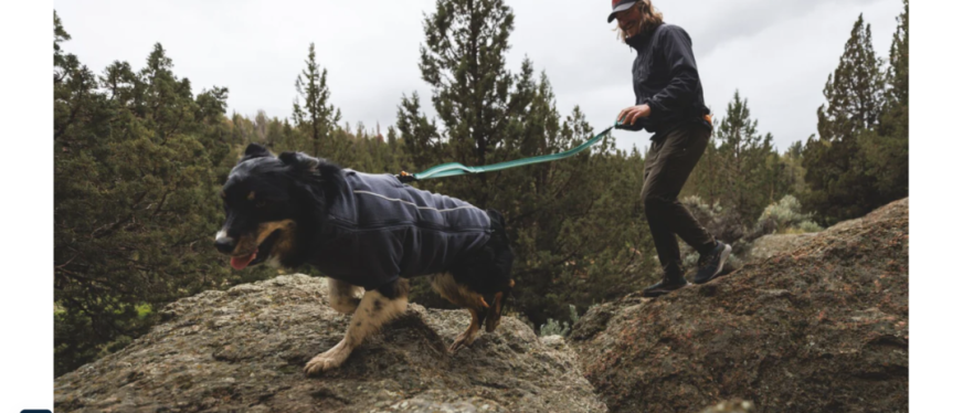 宠物户外装备品牌Ruffwear：如何用生活方式营销打动消费者？