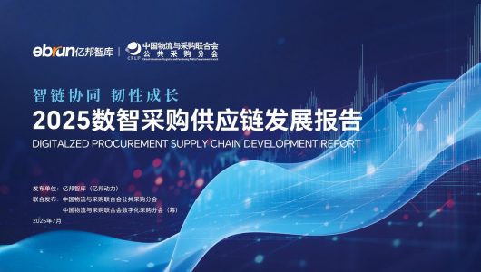 2025数智采购供应链发展报告