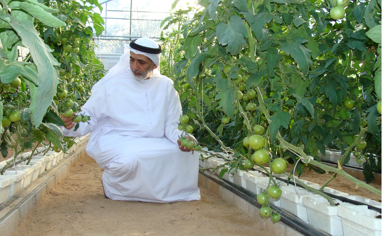 预制菜出海爆发!淄博对韩出口2524万,中东成下一个千亿市场