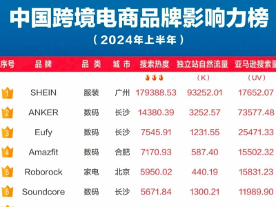 中国跨境电商品牌百强榜发布！跨境卖家必看案例