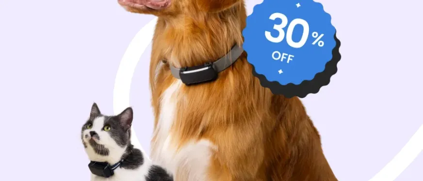 GPS追踪器销量破百万台：Tractive以“硬件+订阅制”模式掘金全球宠物智能市场