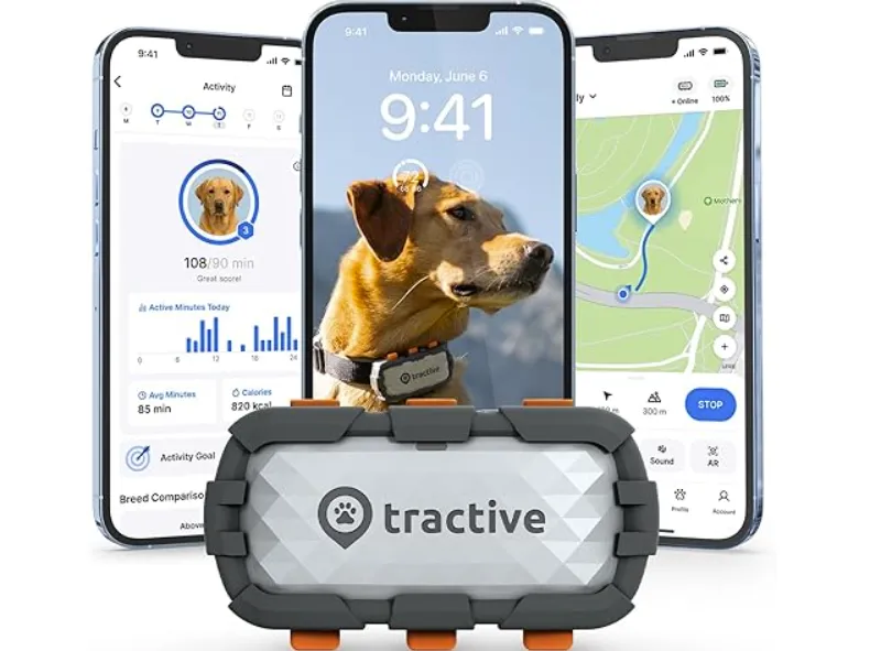 GPS追踪器销量破百万台：Tractive以“硬件+订阅制”模式掘金全球宠物智能市场