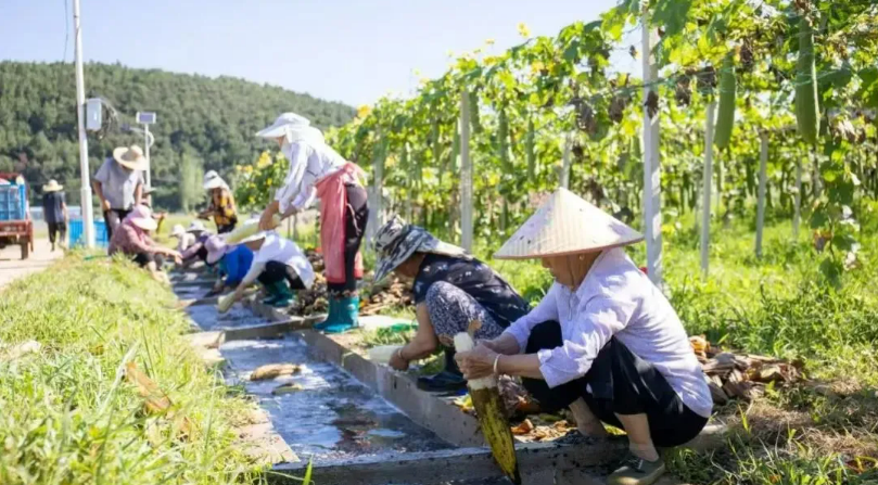 年销百万件,90后女孩靠家用清洁品走上致富路!