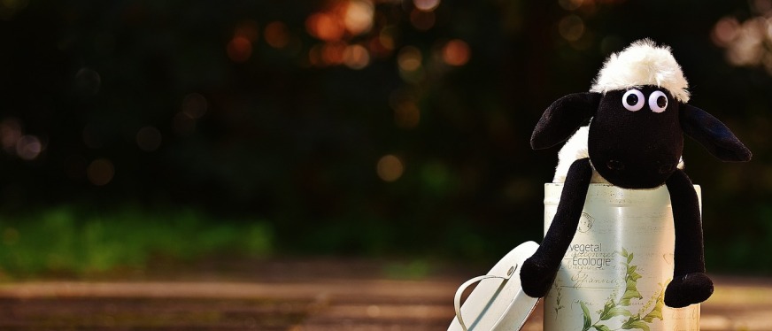 俄罗斯电商赛道：中国卖家如何乘风破浪？