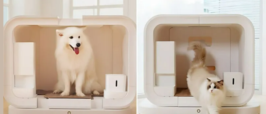 8 月十大宠物用品流行趋势洞察