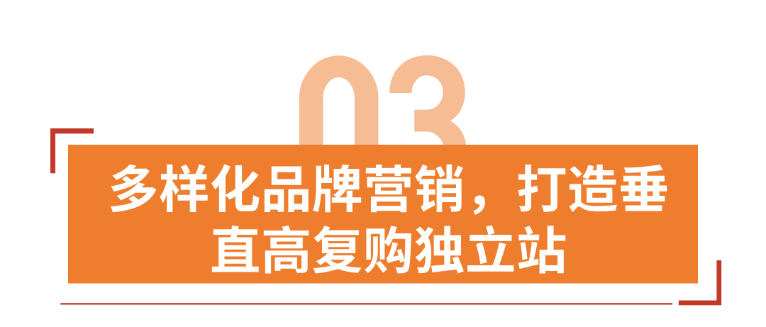 年收5亿美金！冷门品类到行业大卖，Igloo如何实现品牌增长？