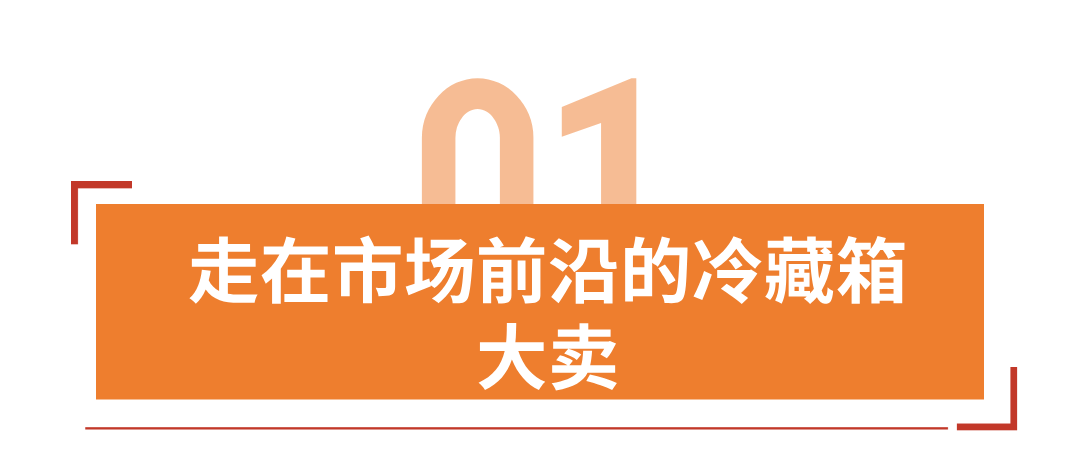 年收5亿美金！冷门品类到行业大卖，Igloo如何实现品牌增长？