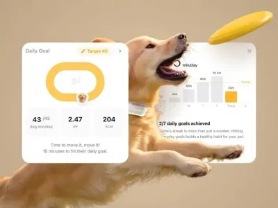 65人团队如何年入近亿？一款宠物监控摄像头火遍北美市场