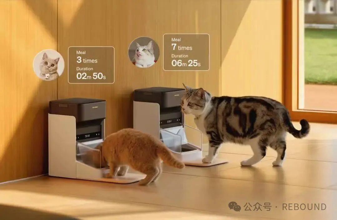 图片 前泽宝高管创业,靠智能猫碗走红欧美养宠市场,营收破 12 亿
