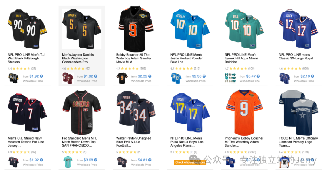 特货球衣独立站躺赚指南｜不公开实战打法+必抢爆品，小白也能稳提ROI