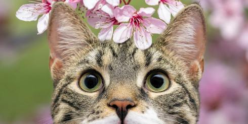 紧急：这21款热卖新品已下证美国外观专利！