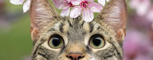 紧急：这21款热卖新品已下证美国外观专利！